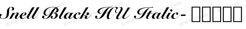 Snell Black HU Italic字体转换